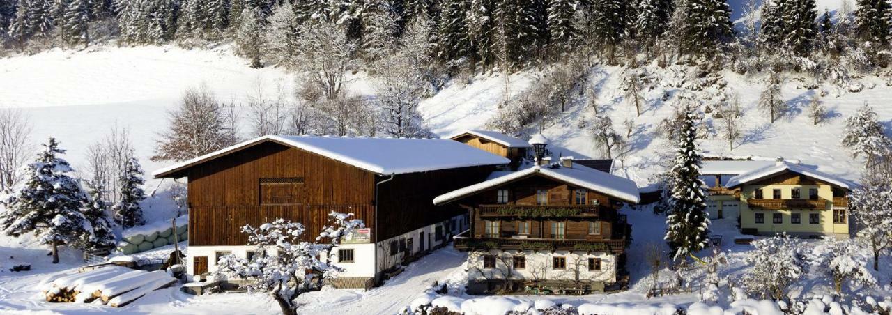 Grubhof Weissenbacher Altenmarkt im Pongau Exteriör bild
