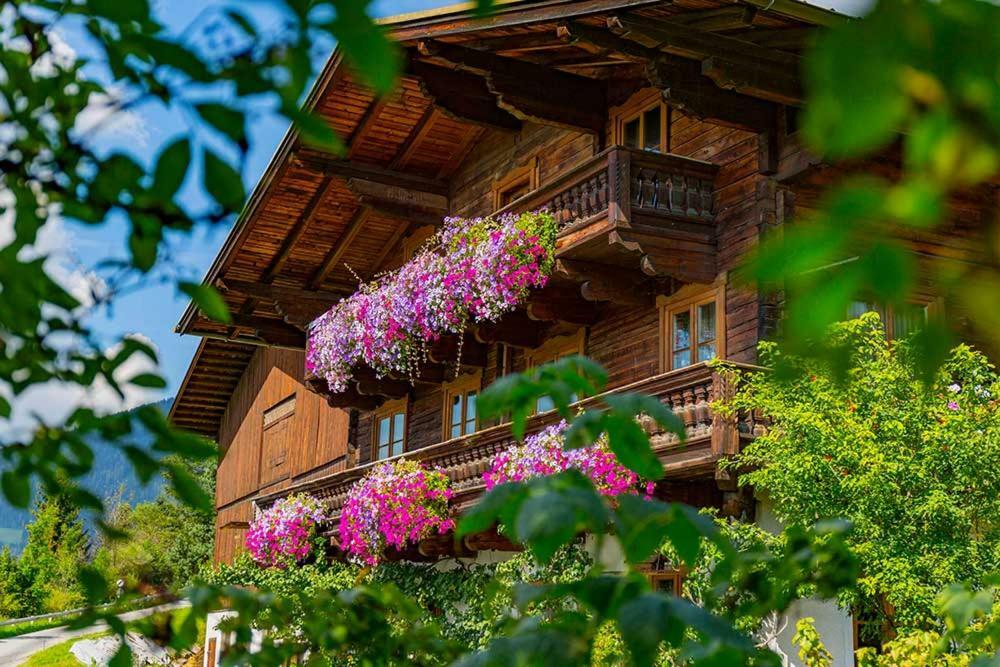 Grubhof Weissenbacher Altenmarkt im Pongau Exteriör bild