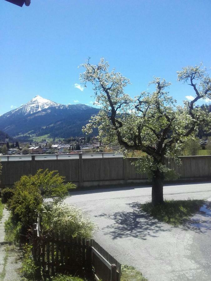 Grubhof Weissenbacher Altenmarkt im Pongau Exteriör bild