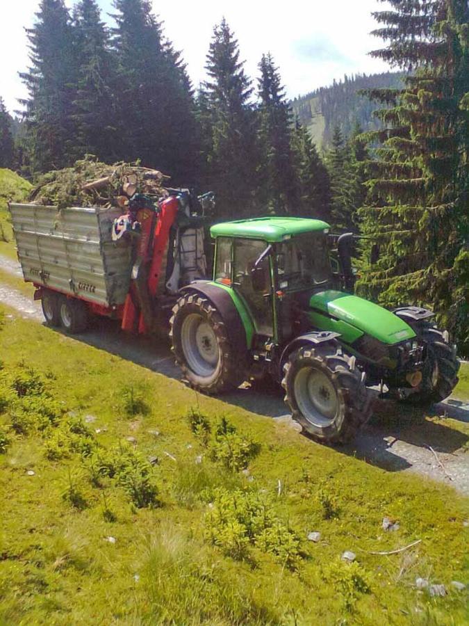 Grubhof Weissenbacher Altenmarkt im Pongau Exteriör bild